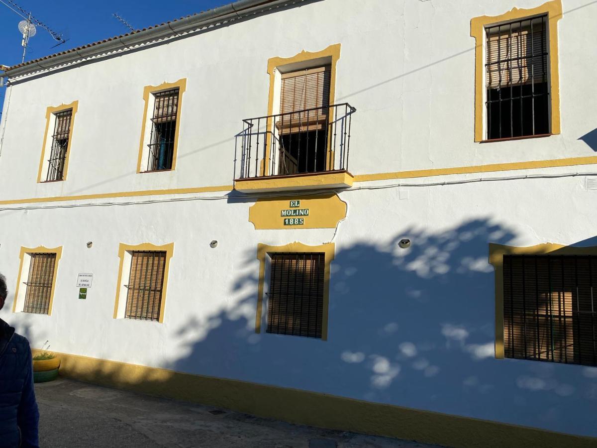 Alto De Torrecillas البوسكي المظهر الخارجي الصورة