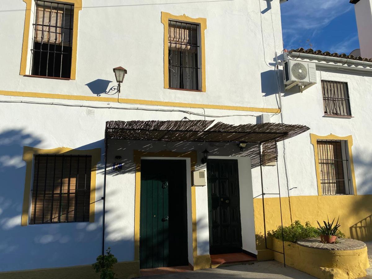 Alto De Torrecillas البوسكي المظهر الخارجي الصورة