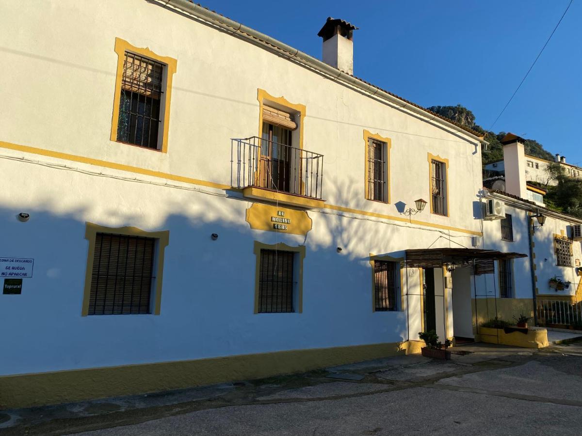 Alto De Torrecillas البوسكي المظهر الخارجي الصورة