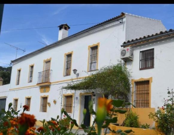 Alto De Torrecillas البوسكي المظهر الخارجي الصورة