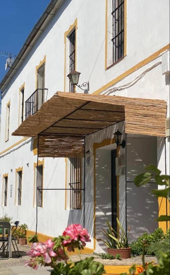 Alto De Torrecillas البوسكي المظهر الخارجي الصورة