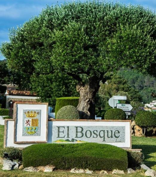 Alto De Torrecillas البوسكي المظهر الخارجي الصورة