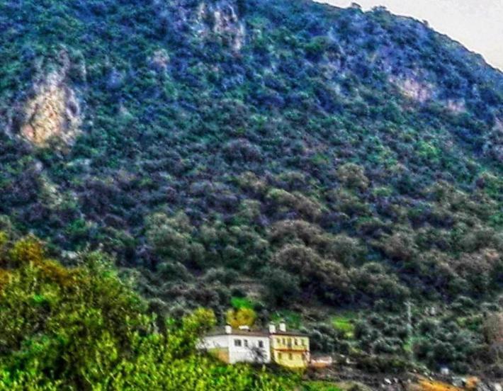 Alto De Torrecillas البوسكي المظهر الخارجي الصورة