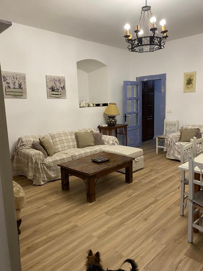 Alto De Torrecillas البوسكي المظهر الخارجي الصورة